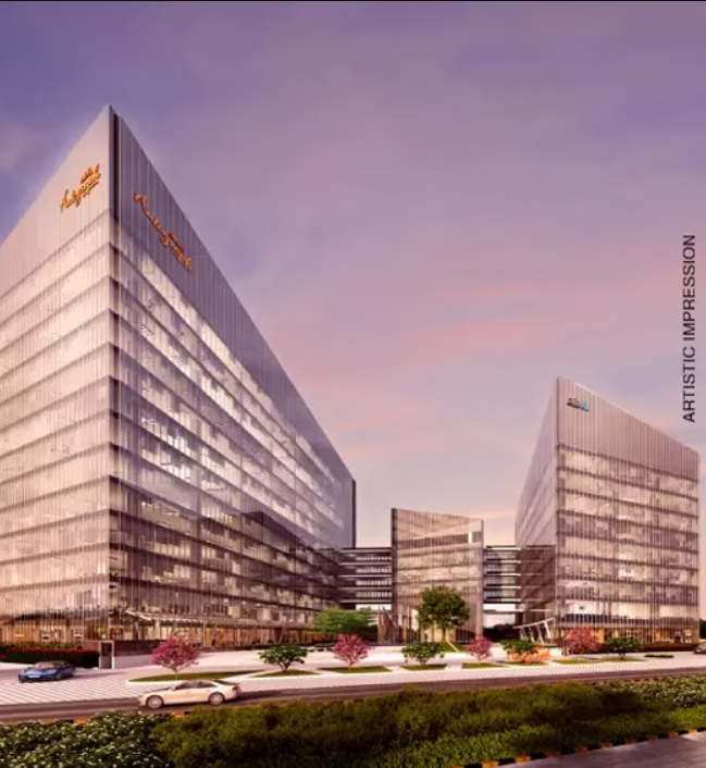 Aipl Joy Autograph Highlights